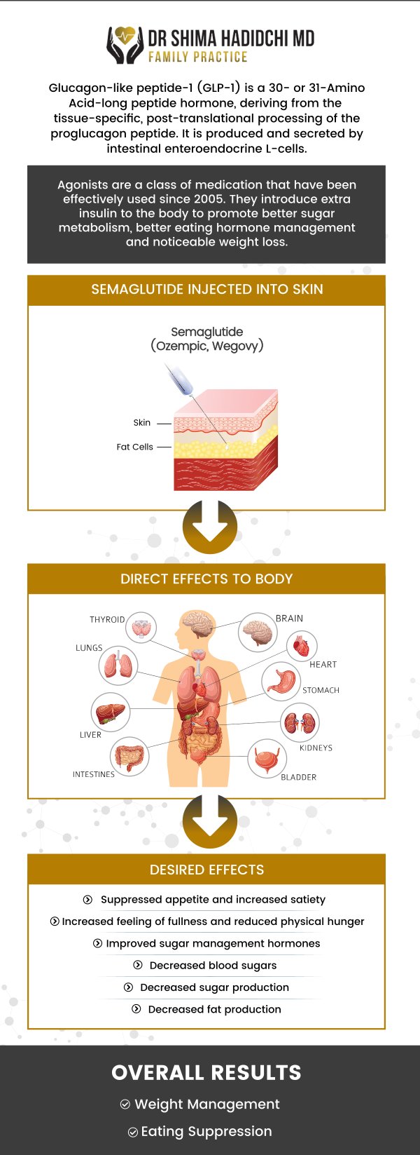 When used alongside diet and exercise, Semaglutide GLP-1 injections for weight loss can produce life-changing results for obese patients. Visit Dr. Shima Hadidchi MD’s Family Practice to determine if Semaglutide GLP-1 is right for you. Contact us today for more information or book an appointment online. We have convenient locations to serve you in Apple Valley, CA and Victorville, CA. When used alongside diet and exercise, Semaglutide GLP-1 injections for weight loss can produce life-changing results for obese patients. Visit Dr. Shima Hadidchi MD’s Family Practice to determine if Semaglutide GLP-1 is right for you. Contact us today for more information or book an appointment online. We have convenient locations to serve you in Apple Valley, CA and Victorville, CA.